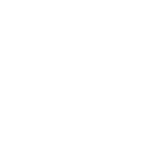 SSL Protection